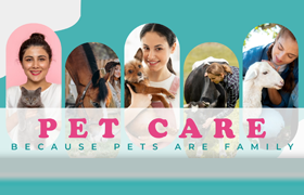 Pet Care